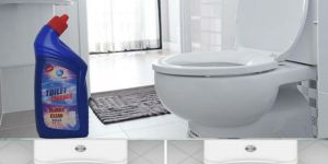Toilet Cleaner
