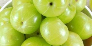Fresh Green Amla