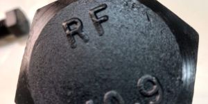 Stainless Steel Bolts