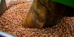 Cold Pressed Groundnut Oil