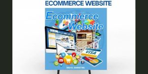 Ecommerce Web Development Service