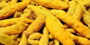 Dried Turmeric Finger
