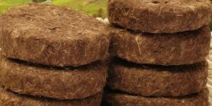 Cow Dung Cake