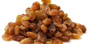 Malayar Raisins