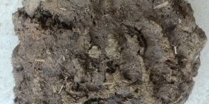 Dhaliwal Farm Cow Dung Powder