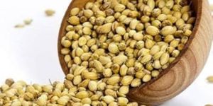 Coriander Seeds