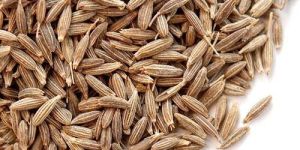 Cumin Seeds