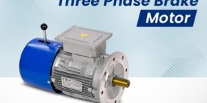 Three Phase Brake Motor