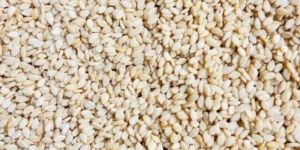 Sesame Seeds