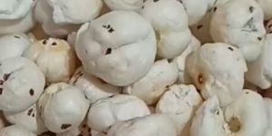 4 Suta Phool Makhana