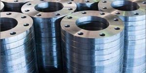 MS Flanges