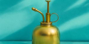 Brass Plant Mister Spray Bottle