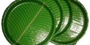 Areca Leaf Plate