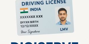Driving License