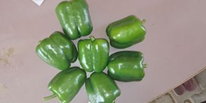Green Capsicum