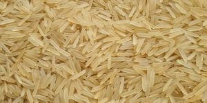 1121 Golden Sella Rice