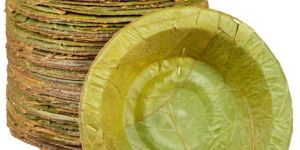 Eco Friendly Disposable Bowls