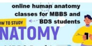 Anatomy Online Class