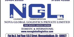 Domestic International Courier