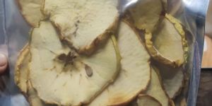 Dried Apple Chips