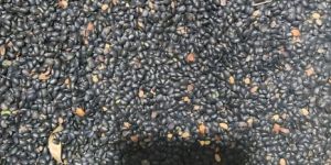 Black Urad Dal