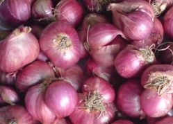 A Grade Podisu Onion