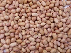 Groundnuts
