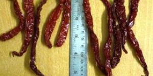 Red Chilli