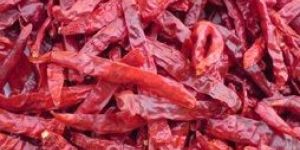 Wrinkle Dry Red Chilli