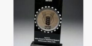 Global Corporate Award