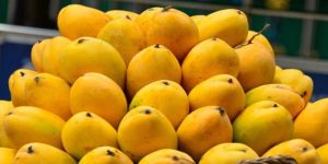 Fresh Mango