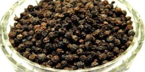 Black Pepper Seed