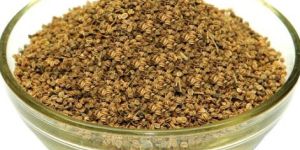 Celery Seeds