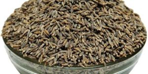 Cumin Seeds