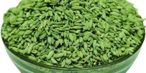 Fennel (Saunf) Seed