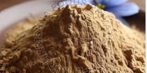Ingredient for Pets ( Chicory Powder)