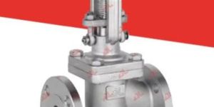 Cast Globe Valve