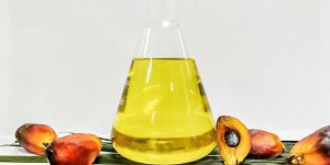 Crude Palm Kernel Oil