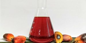 Crude Palm Oil
