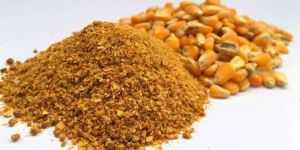 Dried Distillers Grains