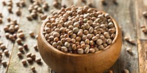 Pigeon Pea