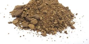 Rapeseed Meal
