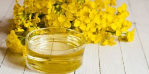 Rapeseed Oil