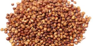 Sorghum Seeds