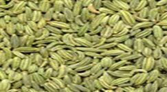 Fennel Seeds