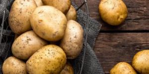 Frozen Potato