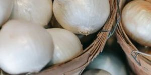 Frozen White Onion
