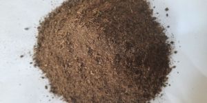 Cow Dung Powder