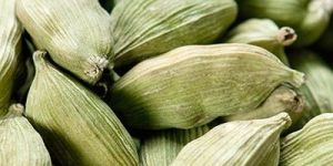 Green Cardamom