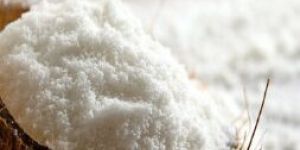 Coconut Powder